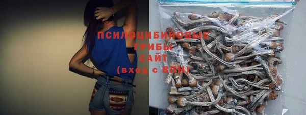 спиды Майский