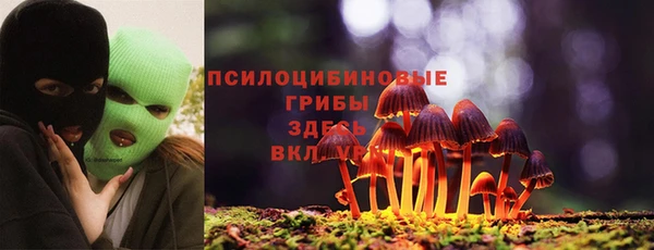 прущие грибы Магас