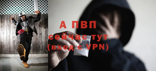 прущие грибы Магас