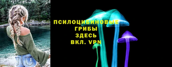 прущие грибы Магас