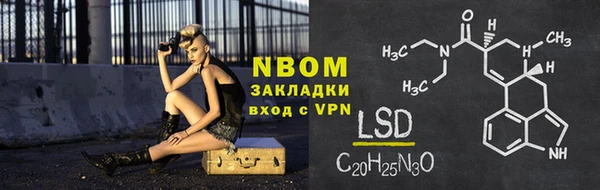 прущие грибы Магас