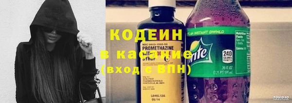 прущие грибы Магас