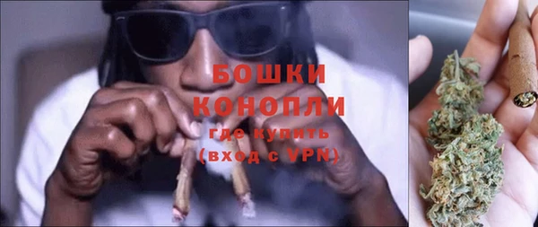 прущие грибы Магас