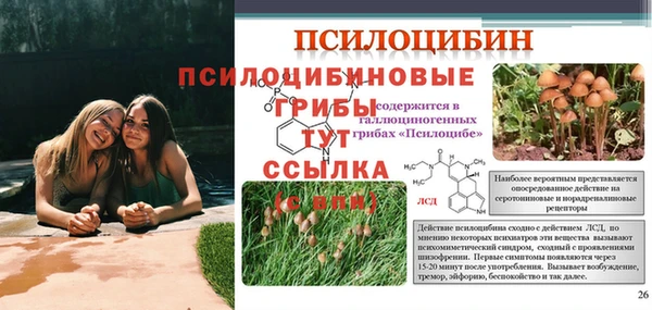 спиды Майский