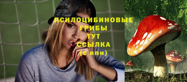 спиды Майский
