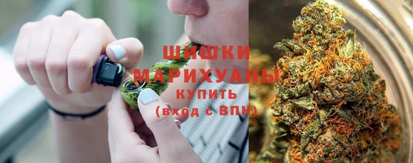 прущие грибы Магас