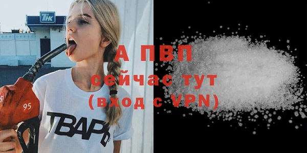прущие грибы Магас