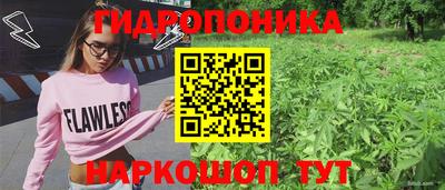 прущий лед Кандалакша