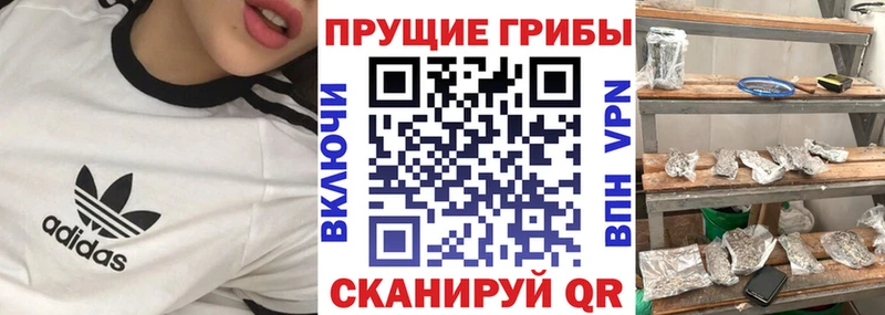 Галлюциногенные грибы мицелий  наркотики  Чита 